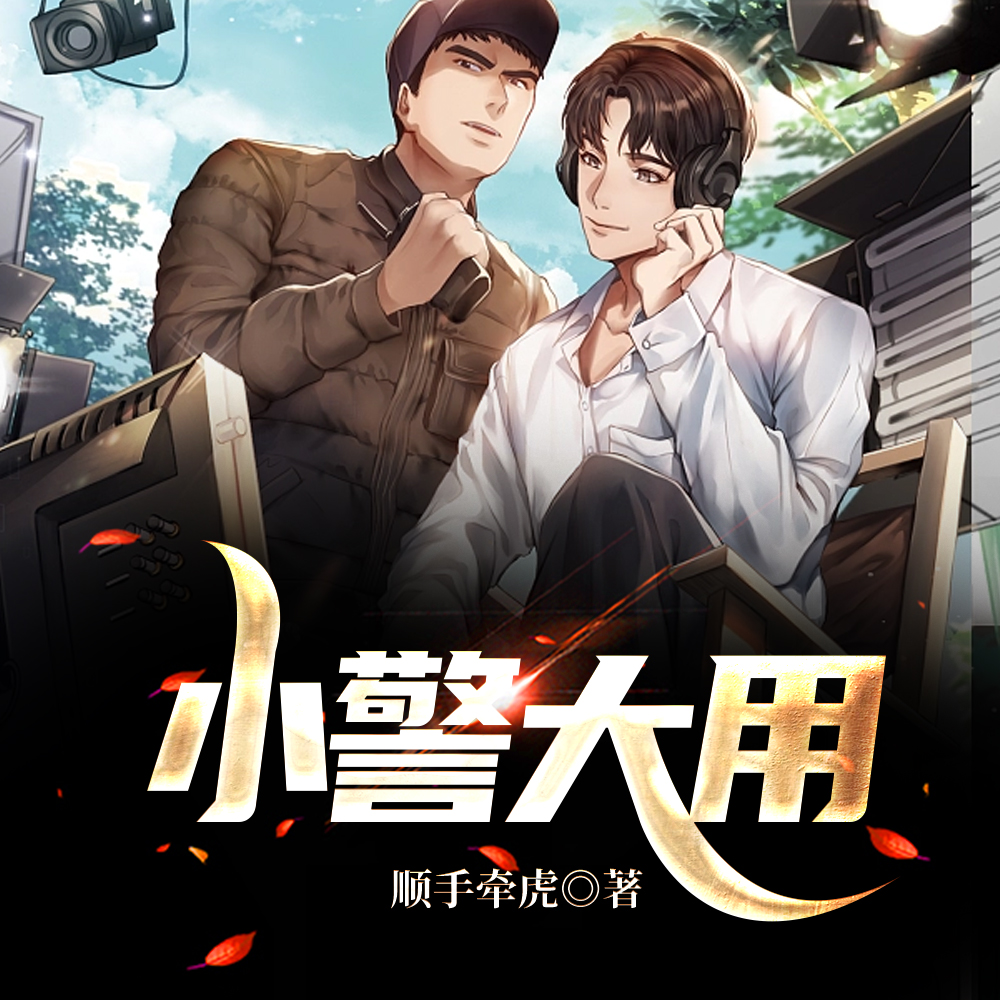 领导们,我这个小警太难了