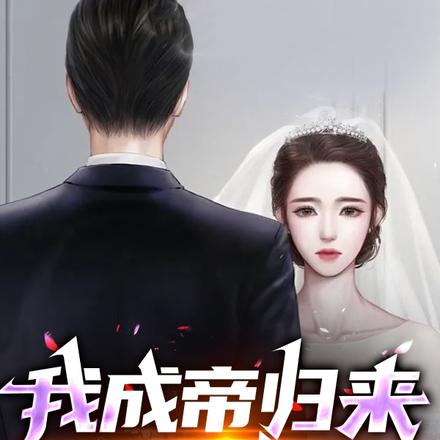都市回归:我的老公修为大帝境!