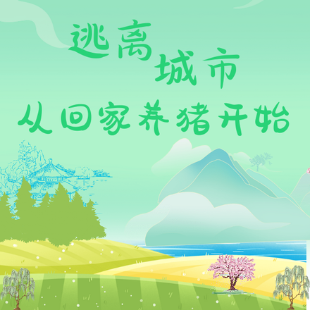 重生:逃离城市从回家养猪开始
