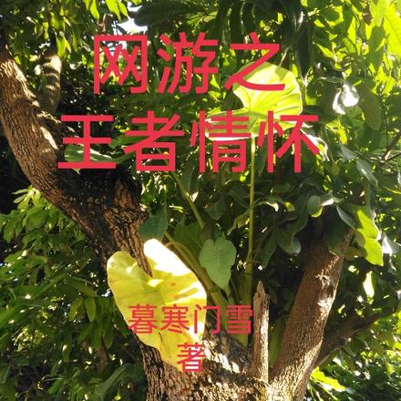 网游之王者情怀