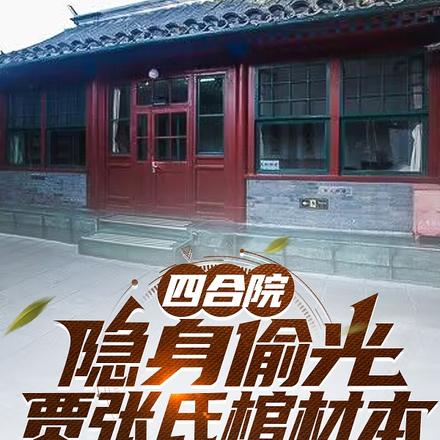四合院:隐身偷光贾张氏棺材本