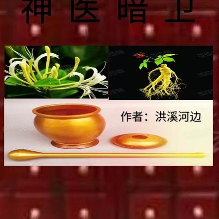神医暗卫