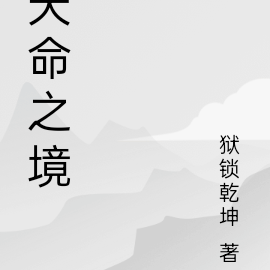 天命之境