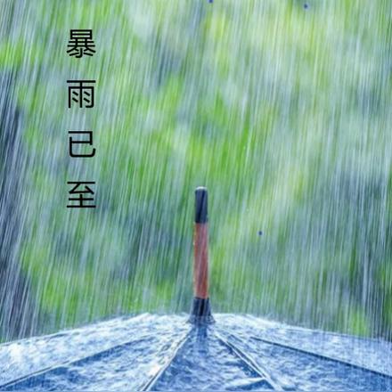 暴雨已至