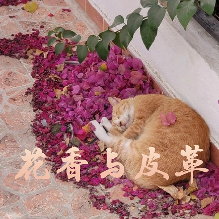 花香与皮革
