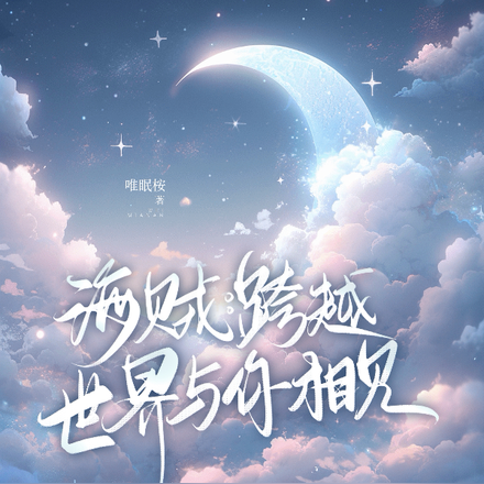 海贼：跨越世界与你相见
