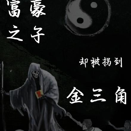 重生：富豪之子，却被拐到金三角