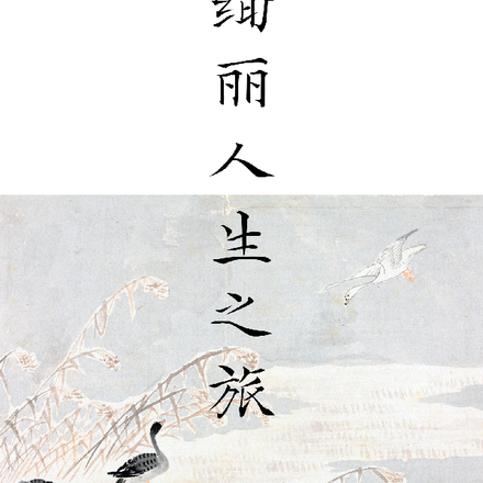 绚丽人生之旅