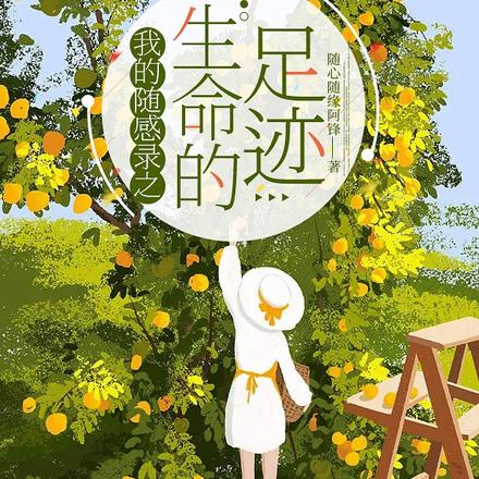 我的随感录之生命的足迹