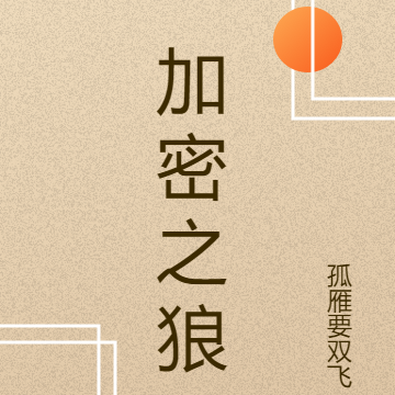 加密之狼