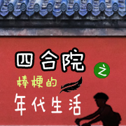 四合院之棒梗的年代生活