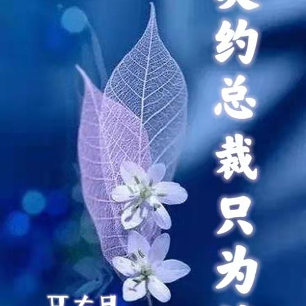 契约总裁只为情