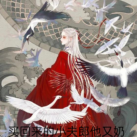 买回来的小夫郎,他又奶又娇