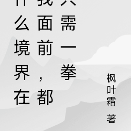 什么境界在我面前,都只需一拳