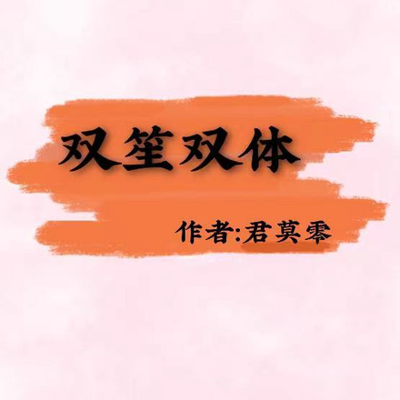 双笙双体