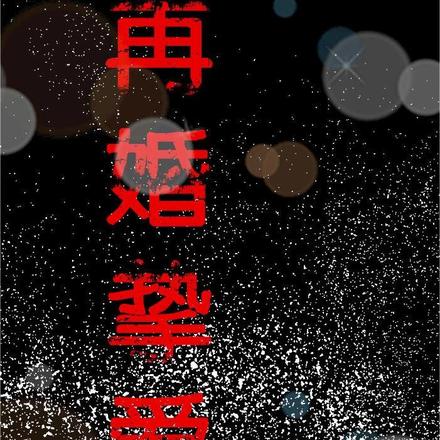 再婚挚爱