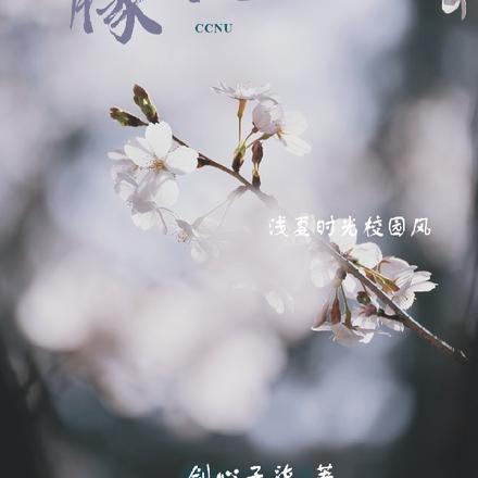 浅夏时光校园风