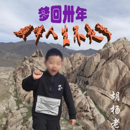 梦回卅年巅峰人生不是梦
