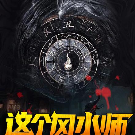 这个风水师是妖孽