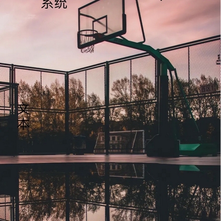 篮球人生之辅助系统