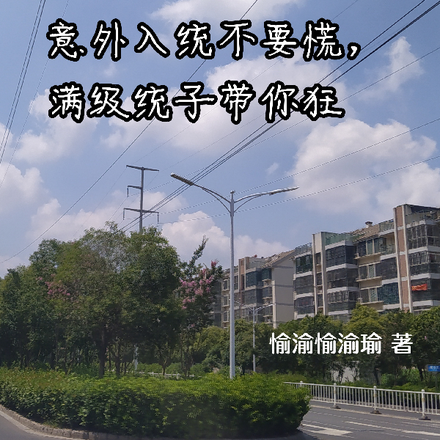 意外入统不要慌,满级统子带你狂