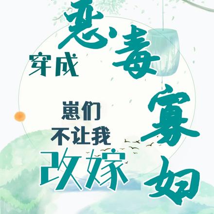 穿成恶毒寡妇,崽们不让我改嫁