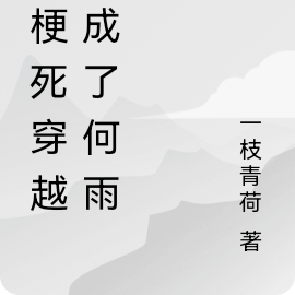 脑梗死穿越变成了何雨柱