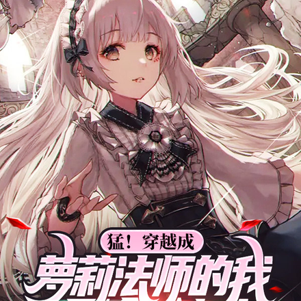 猛!穿越成萝莉法师的我只会剑术