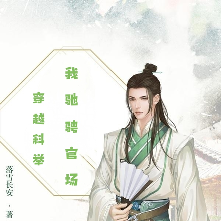 宦海征途
