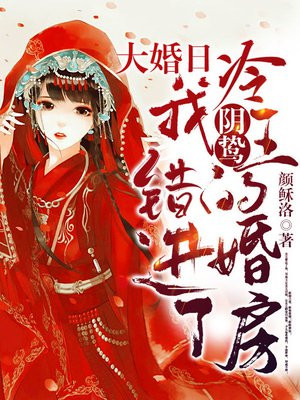 大婚日,我错进了阴鸷冷王的婚房