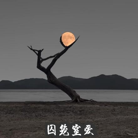 囚笼窒爱