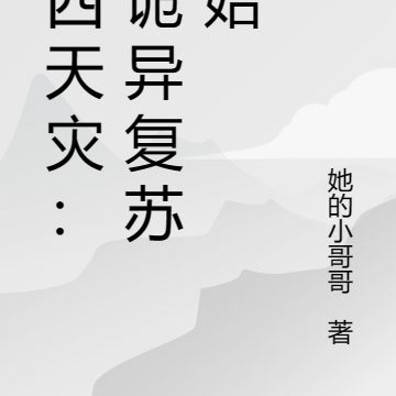 第4天灾小说