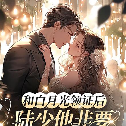 领证后,陆少他非要每天亲亲