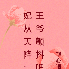 妃从天降：王爷颤抖吧
