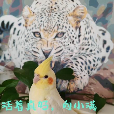 活着真好，向小满
