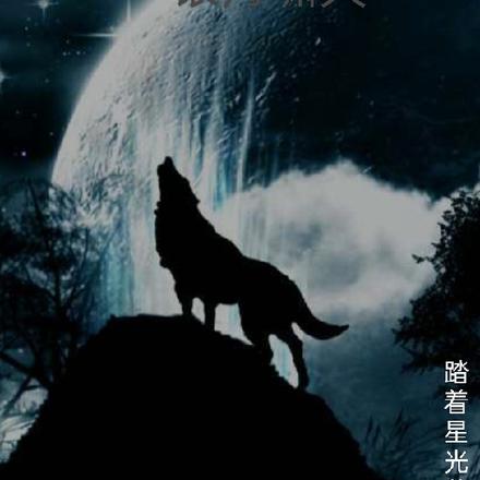 灵气复苏之银月啸天