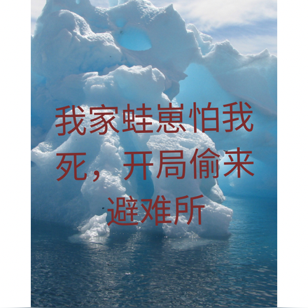 我家蛙崽怕我死,开局偷来避难所