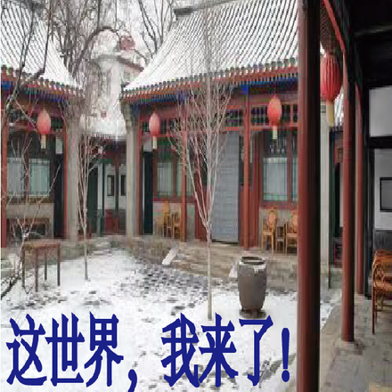 世间再无傻柱