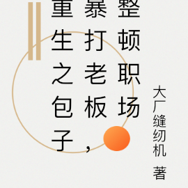 重生之包子暴打老板，整顿职场