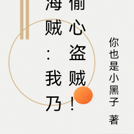 海贼：我乃偷心盗贼！