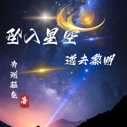 坠入星空，逝去黎明