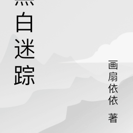黑白迷踪
