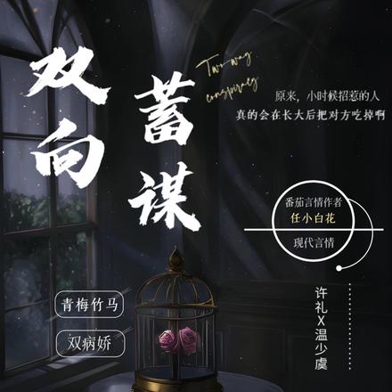 双向蓄谋