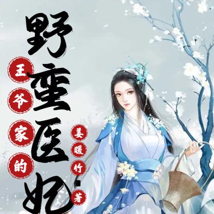 王爷家的野蛮医妃