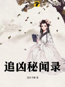 追凶秘闻录