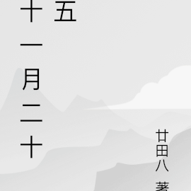 十一月二十五