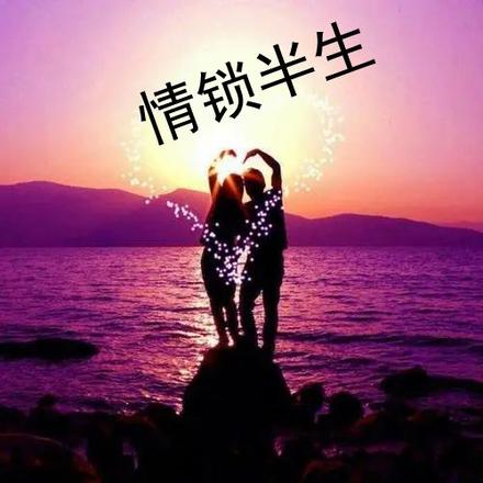 情锁半生