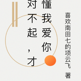 对不起，才懂我爱你