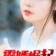 霸婿崛起