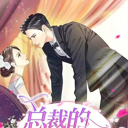 总裁的明星娇妻